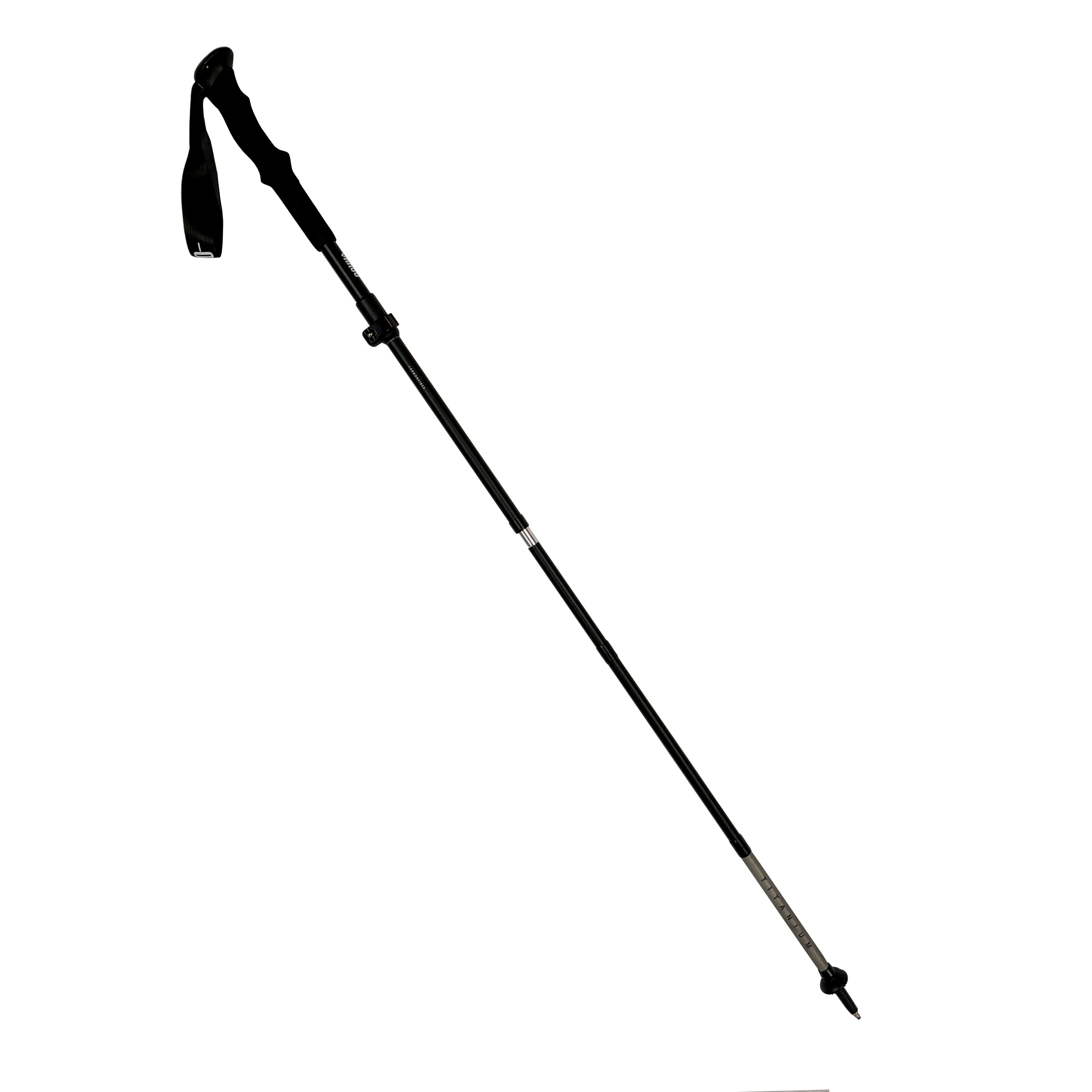 TREKKING POLES